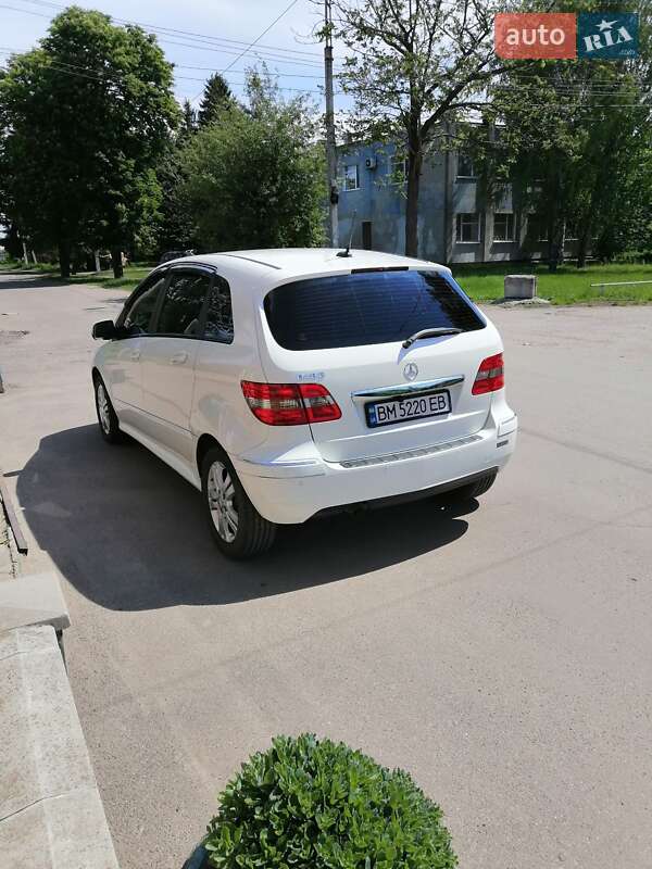 Хетчбек Mercedes-Benz B-Class 2009 в Сумах