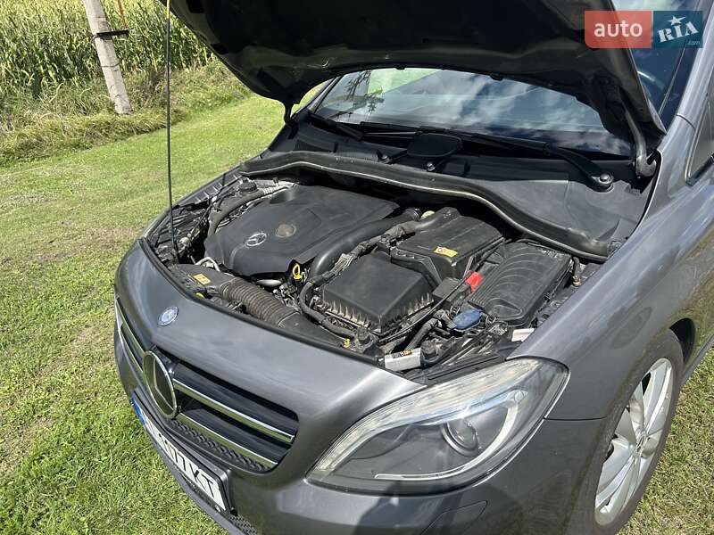 Хетчбек Mercedes-Benz B-Class 2014 в Глевасі