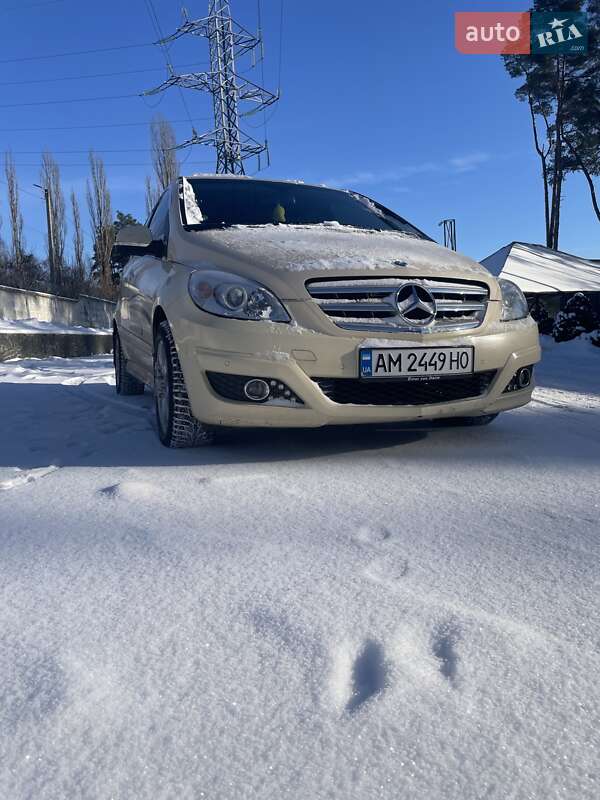 Хетчбек Mercedes-Benz B-Class 2008 в Житомирі