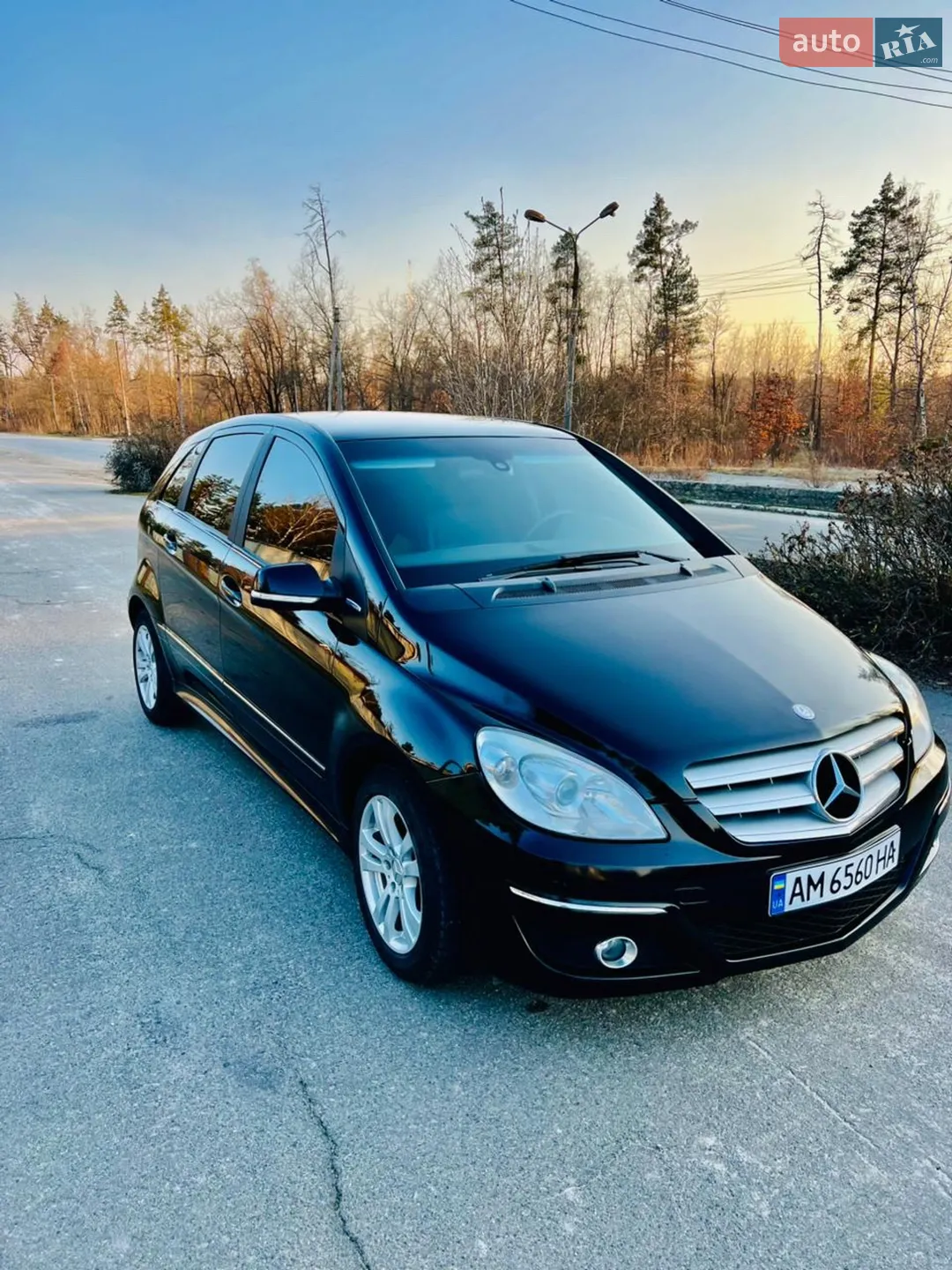 2010 Mercedes-Benz B-klasse - фото 1