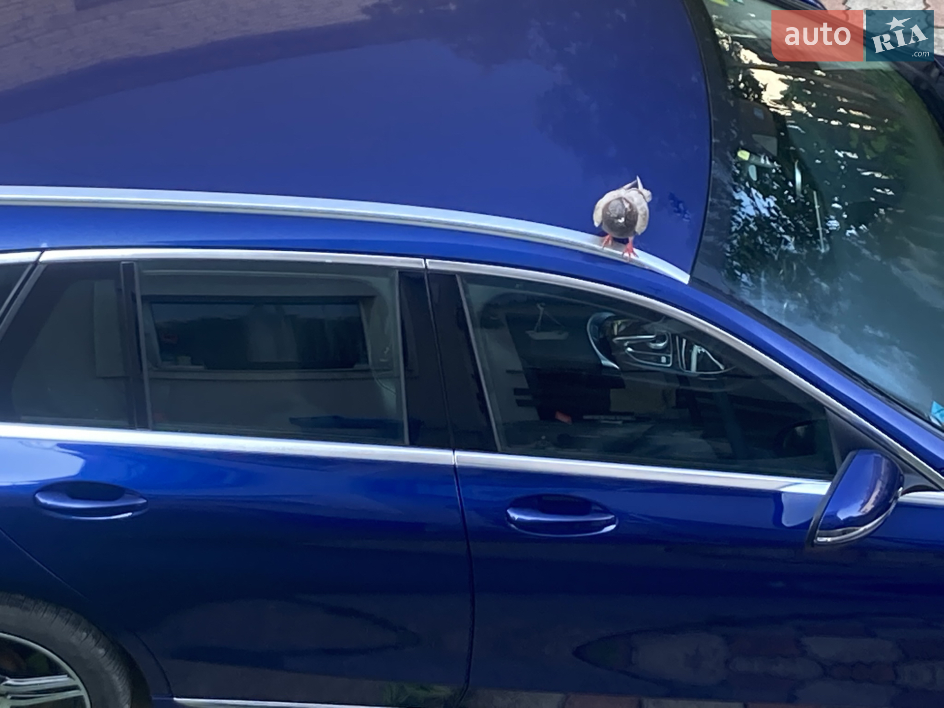 2017 Mercedes-Benz C-klasse - мініатюра 10