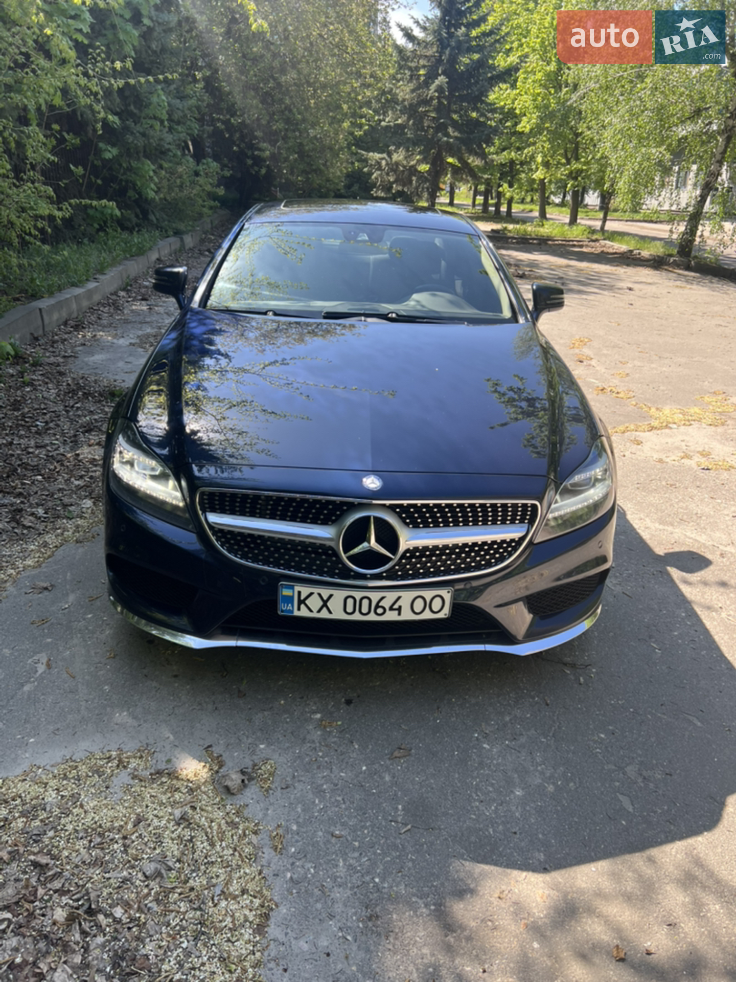 2013 Mercedes-Benz CLS-klasse - фото 1