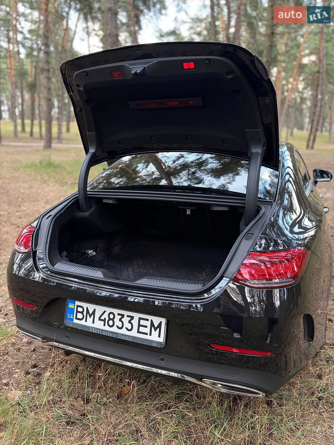 2020 Mercedes-Benz CLS-klasse - мініатюра 9