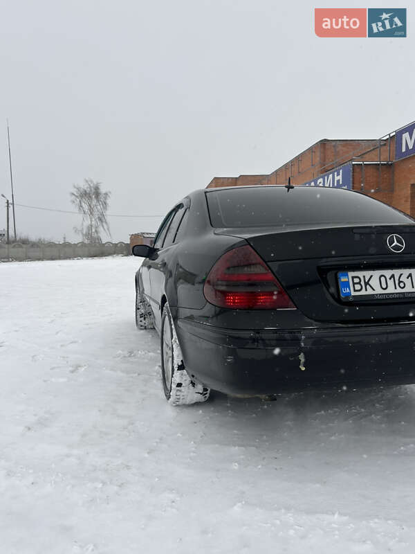 Седан Mercedes-Benz E-Class 2004 в Дубровиці