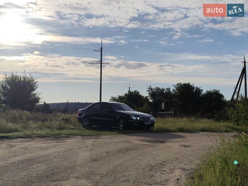 Mercedes-Benz E-Class 2006 Mercedes-Benz E-Class 2006
