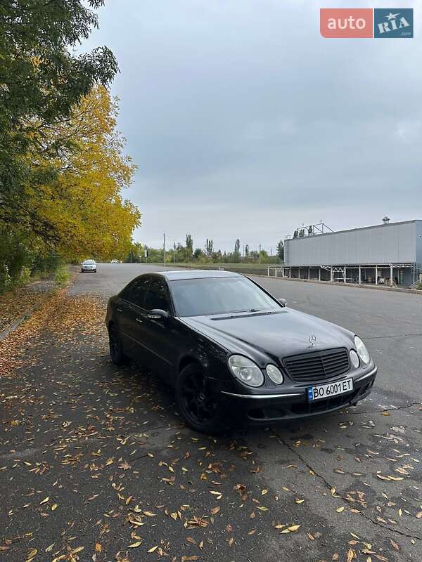 Mercedes-Benz E-Class 2002 Mercedes-Benz E-Class 2002