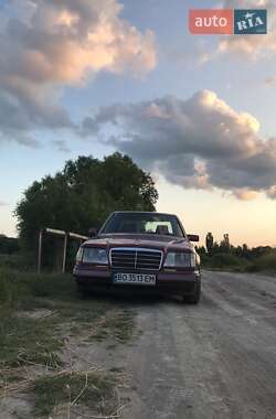 Седан Mercedes-Benz E-Class 1994 в Теофиполе