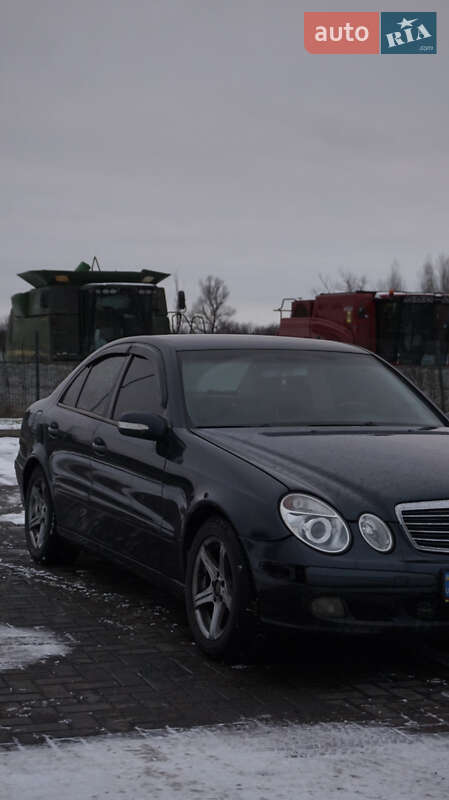 Mercedes-Benz E-Class 2004 Mercedes-Benz E-Class 2004