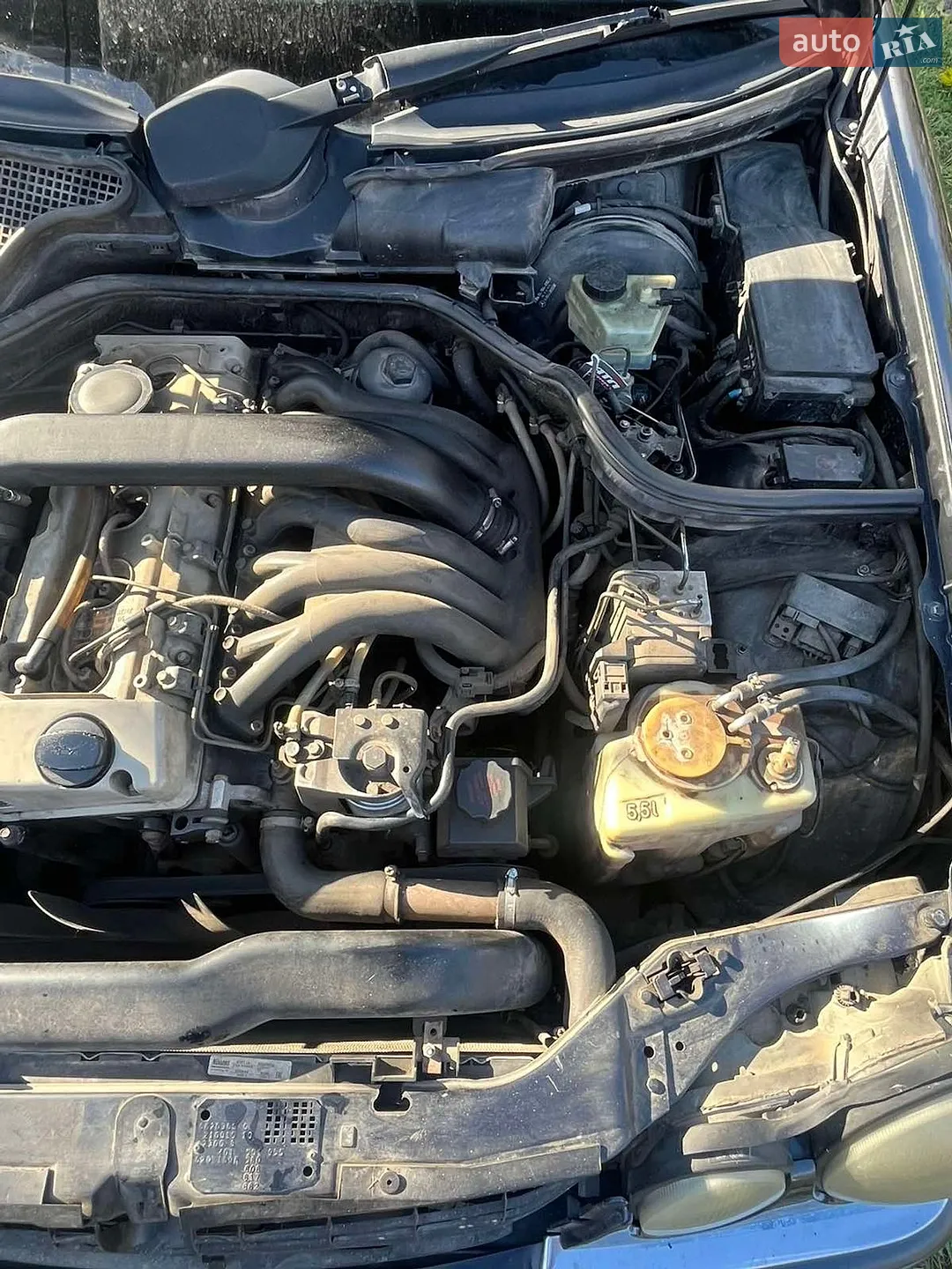 Mercedes-Benz E-Class 1998 VIN WDB2100151A710442 фото оголошення 39 з 42
