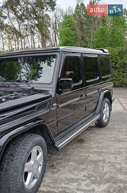Позашляховик / Кросовер Mercedes-Benz G-Class 2001 в 