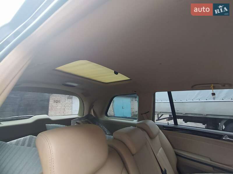 Внедорожник / Кроссовер Mercedes-Benz GL-Class 2009 в Кривом Роге