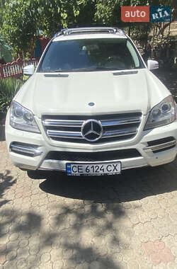 Mercedes-Benz GL-Class 2009 Mercedes-Benz GL-Class 2009