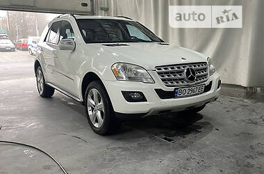 Mercedes-Benz M-Class 2010 Mercedes-Benz M-Class 2010