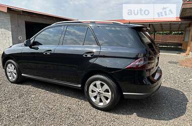 Внедорожник / Кроссовер Mercedes-Benz M-Class 2013 в 