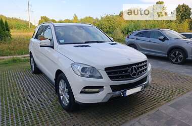 Mercedes-Benz M-Class 2013 Mercedes-Benz M-Class 2013
