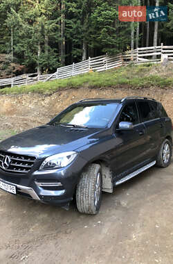 Внедорожник / Кроссовер Mercedes-Benz M-Class 2013 в Сколе