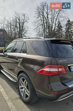 Позашляховик / Кросовер Mercedes-Benz M-Class 2012 в Краматорську