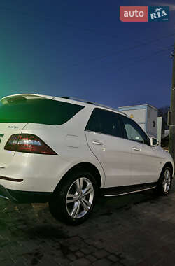 Внедорожник / Кроссовер Mercedes-Benz M-Class 2011 в 
