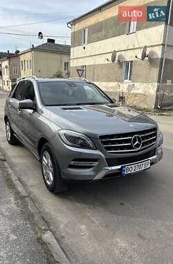 Внедорожник / Кроссовер Mercedes-Benz M-Class 2013 в Залещиках