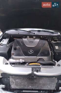 Внедорожник / Кроссовер Mercedes-Benz M-Class 2002 в 