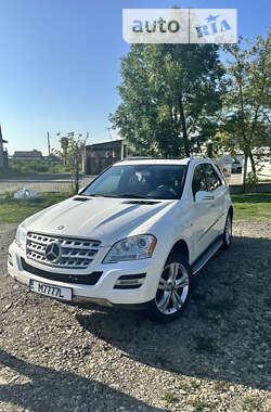 Mercedes-Benz M-Class 2011 Mercedes-Benz M-Class 2011