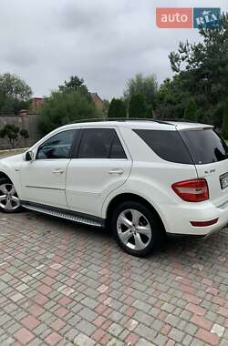 Mercedes-Benz M-Class 2010