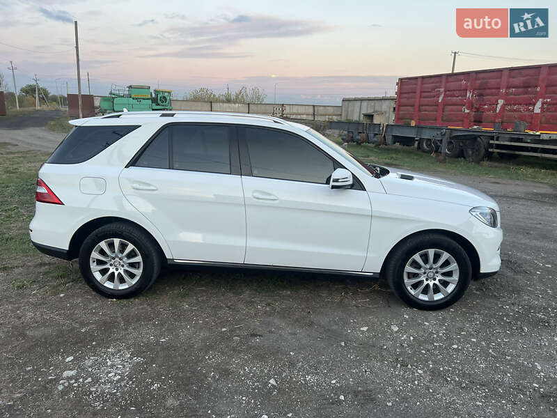 Позашляховик / Кросовер Mercedes-Benz M-Class 2013 в Дніпрі