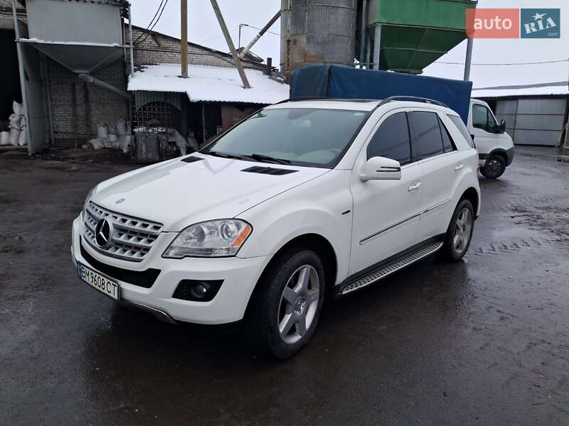 Mercedes-Benz M-Class 2010