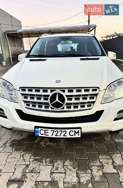 Mercedes-Benz M-Class 2010 Mercedes-Benz M-Class 2010