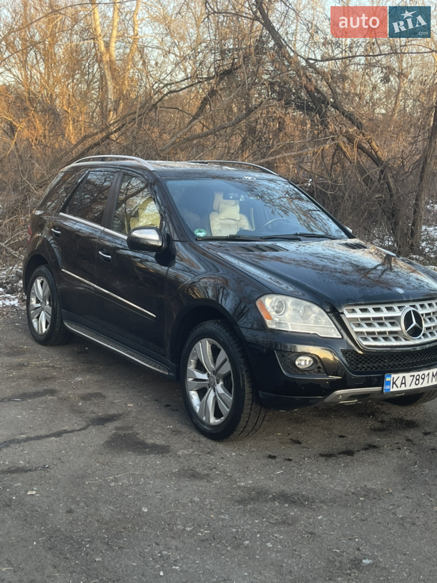 2010 Mercedes-Benz M-klasse - мініатюра 8