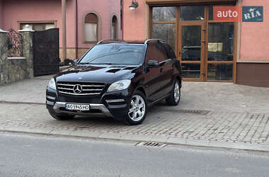 Mercedes-Benz M-Class 2011 Mercedes-Benz M-Class 2011