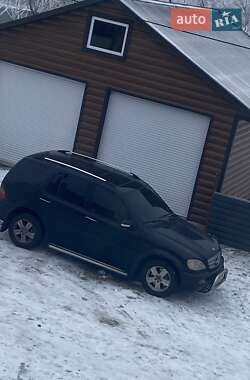 Внедорожник / Кроссовер Mercedes-Benz M-Class 2005 в 