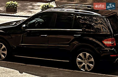 Mercedes-Benz M-Class 2010 Mercedes-Benz M-Class 2010