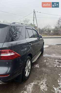 Внедорожник / Кроссовер Mercedes-Benz M-Class 2013 в 