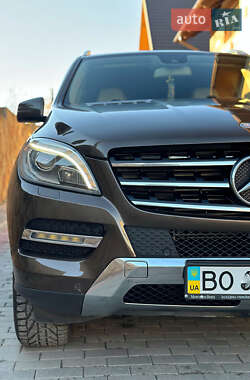 Mercedes-Benz M-Class 2013 Mercedes-Benz M-Class 2013