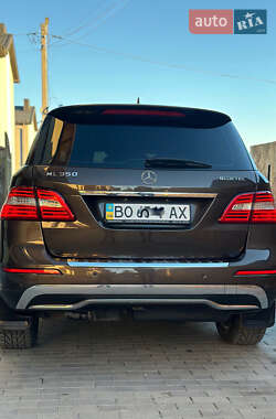 Внедорожник / Кроссовер Mercedes-Benz M-Class 2013 в 