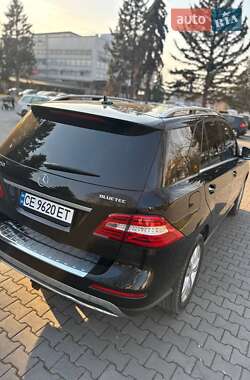 Внедорожник / Кроссовер Mercedes-Benz M-Class 2011 в 
