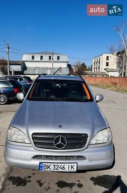 Внедорожник / Кроссовер Mercedes-Benz M-Class 2001 в 