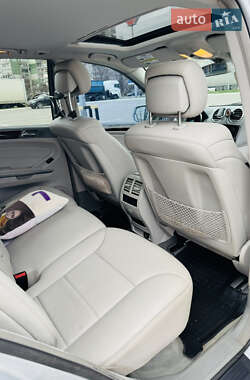 Внедорожник / Кроссовер Mercedes-Benz M-Class 2009 в 