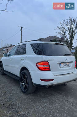 Mercedes-Benz M-Class 2010 Mercedes-Benz M-Class 2010