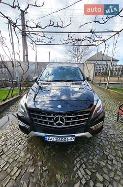 Mercedes-Benz M-Class 2013 Mercedes-Benz M-Class 2013