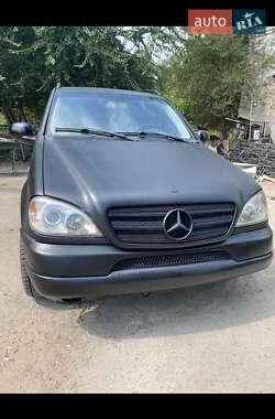 Внедорожник / Кроссовер Mercedes-Benz M-Class 2001 в 