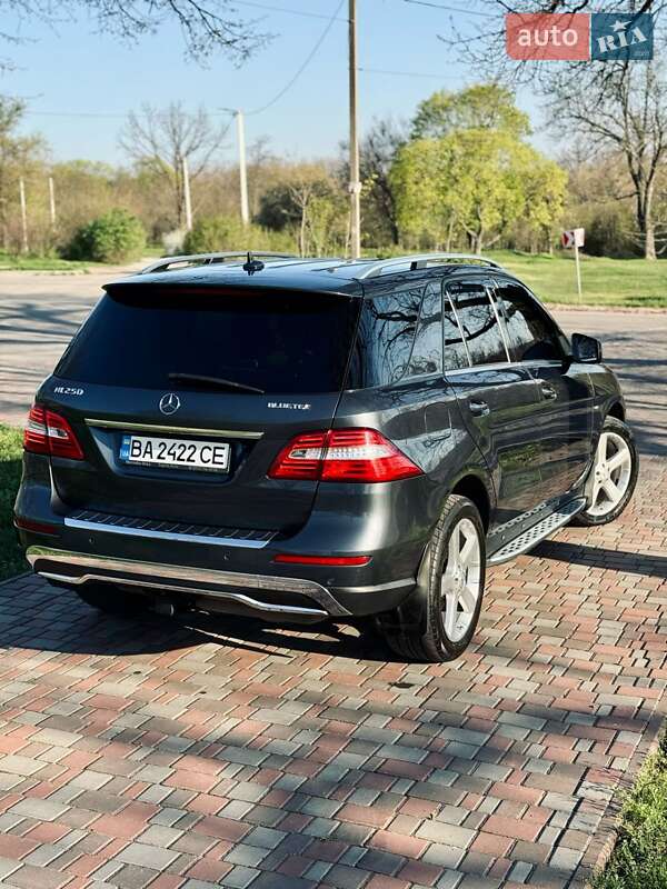 Внедорожник / Кроссовер Mercedes-Benz M-Class 2015 в Кропивницком