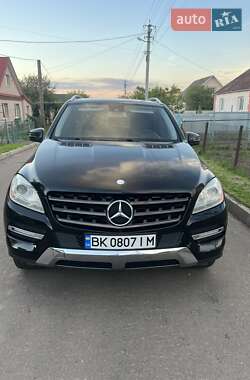 Mercedes-Benz M-Class 2011 Mercedes-Benz M-Class 2011