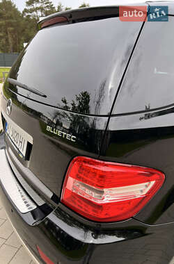 Внедорожник / Кроссовер Mercedes-Benz M-Class 2009 в 