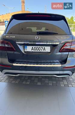 Внедорожник / Кроссовер Mercedes-Benz M-Class 2012 в 