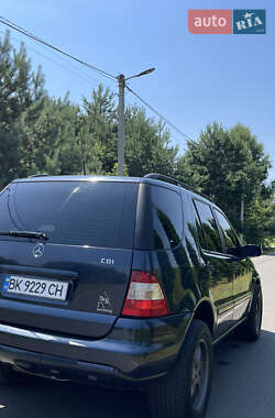 Внедорожник / Кроссовер Mercedes-Benz M-Class 2001 в 