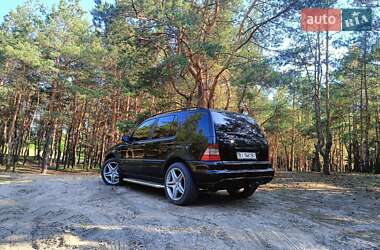 Внедорожник / Кроссовер Mercedes-Benz M-Class 2003 в 