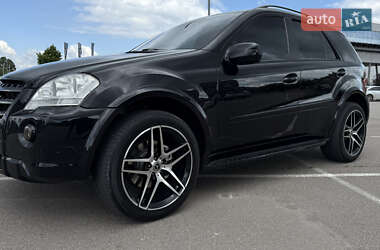 Mercedes-Benz M-Class 2010 Mercedes-Benz M-Class 2010