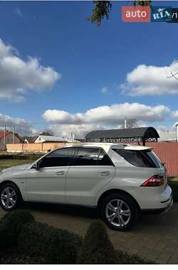 Внедорожник / Кроссовер Mercedes-Benz M-Class 2011 в 